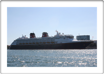 DISNEY MAGIC         9126807 